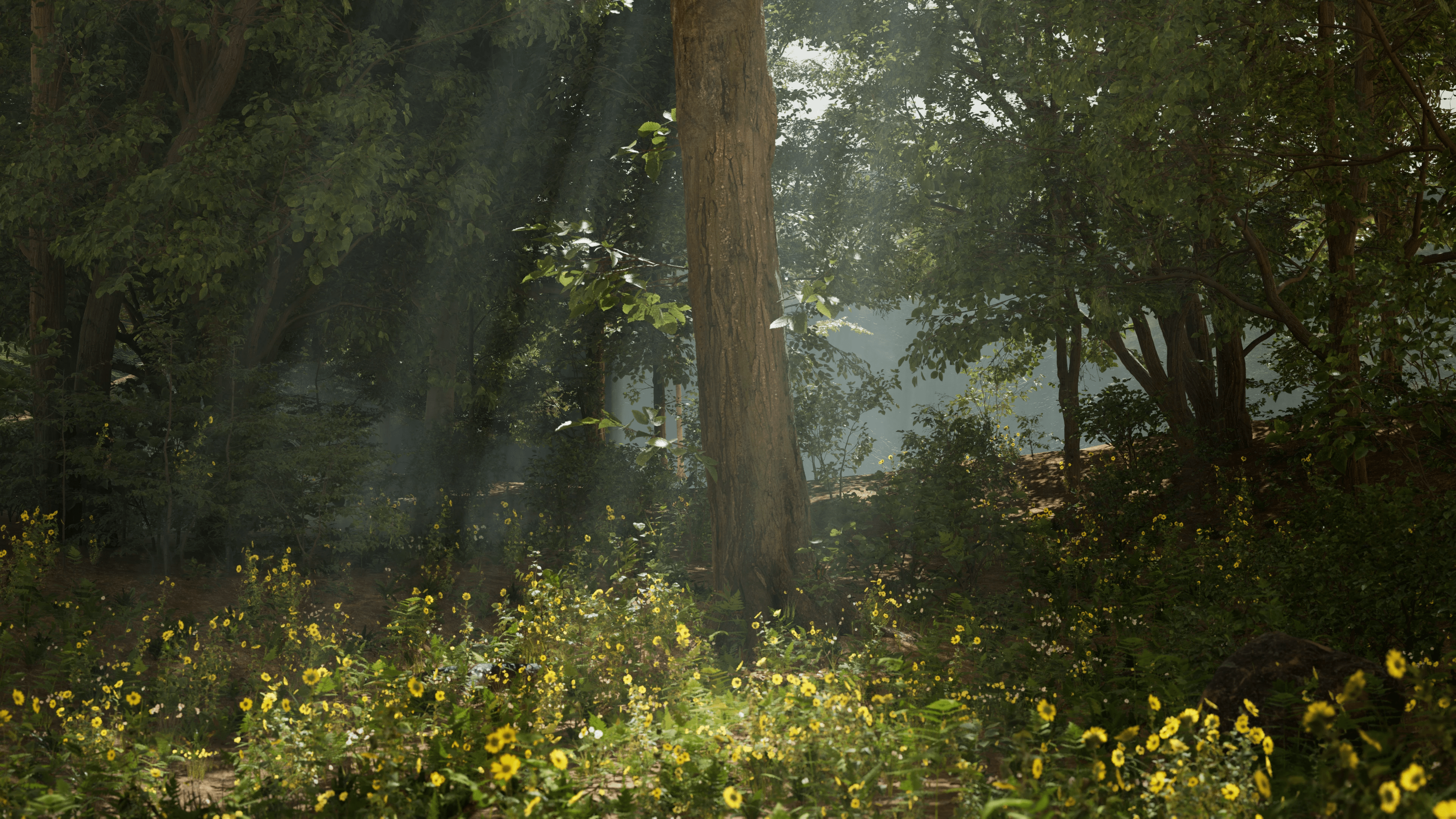 Emissive Echoes in the Forest - 2